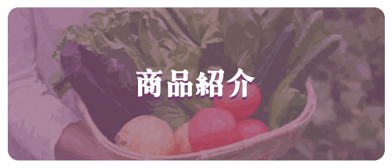 商品紹介