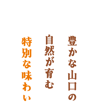 コンセプト